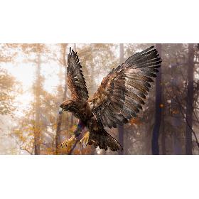 FFGX Frigate with Helicopter 3D model